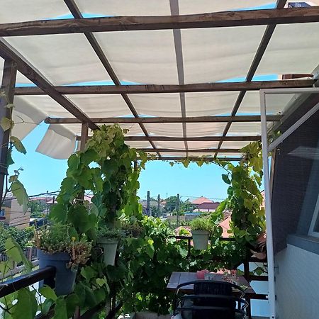 Casa Ozzy&Patty Hotel Două Mai Kültér fotó