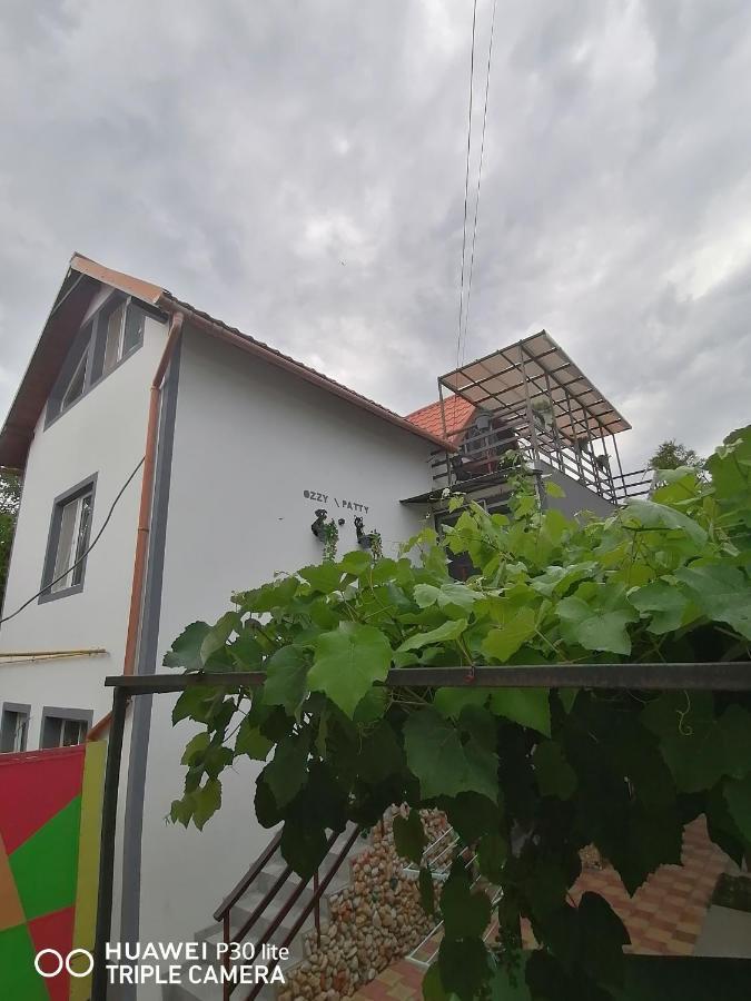 Casa Ozzy&Patty Hotel Două Mai Kültér fotó