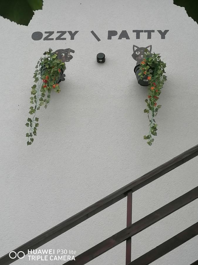 Casa Ozzy&Patty Hotel Două Mai Kültér fotó