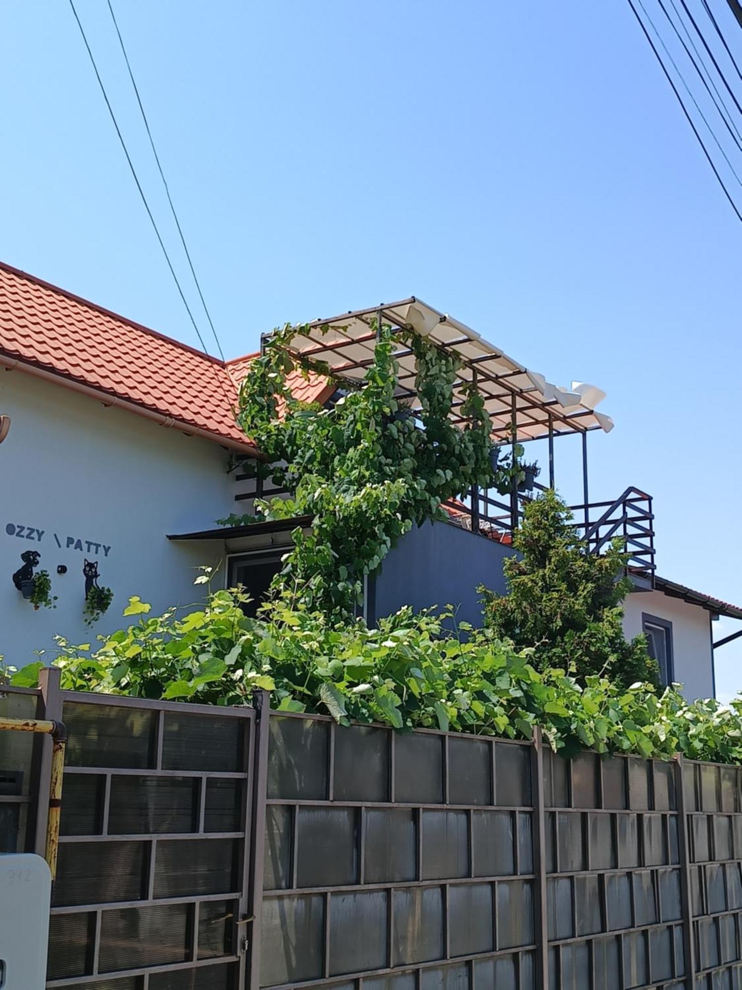 Casa Ozzy&Patty Hotel Două Mai Kültér fotó