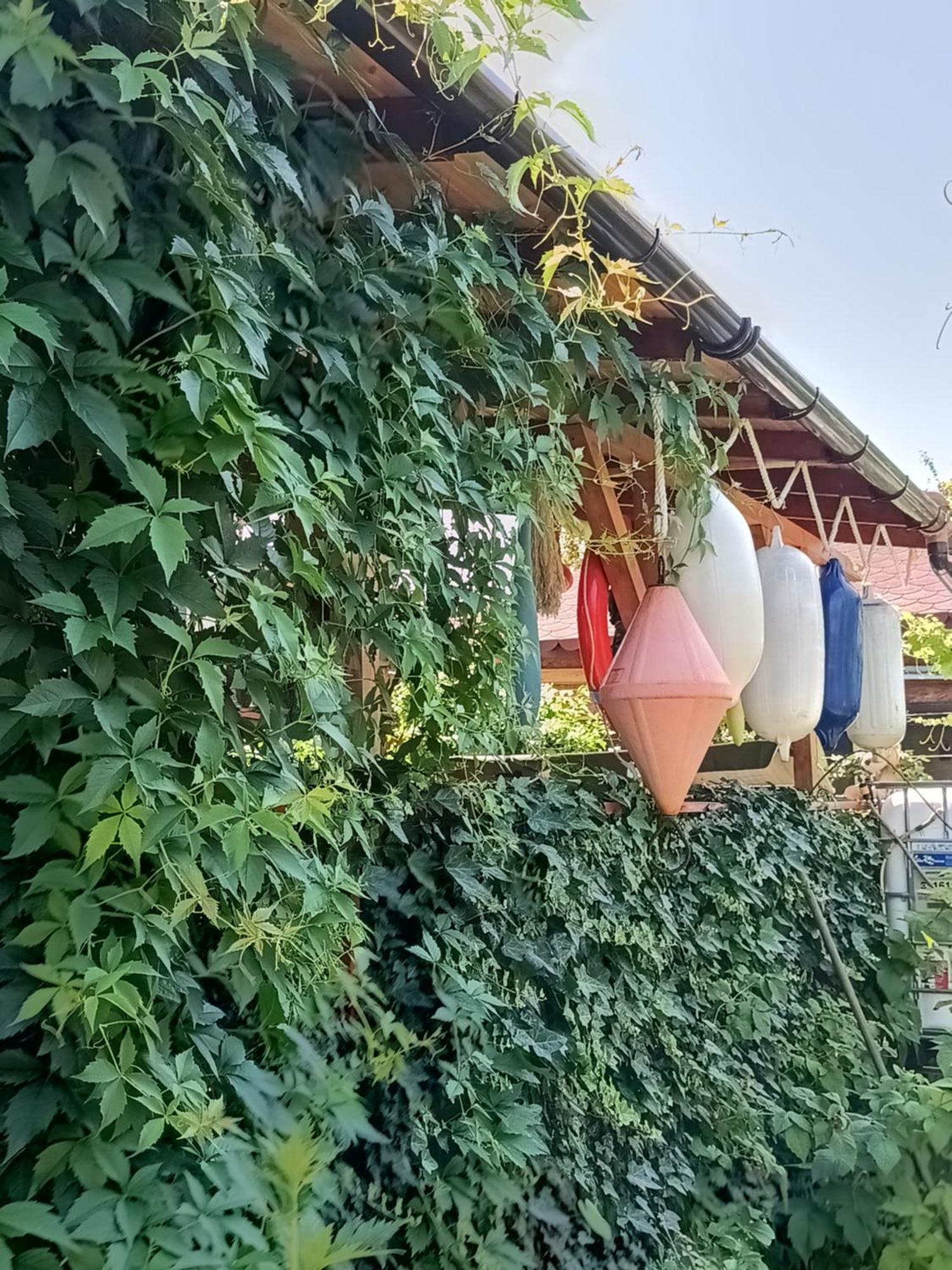 Casa Ozzy&Patty Hotel Două Mai Kültér fotó